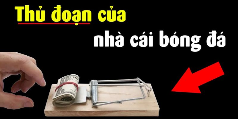 Bẫy nhà cái là như thế nào?