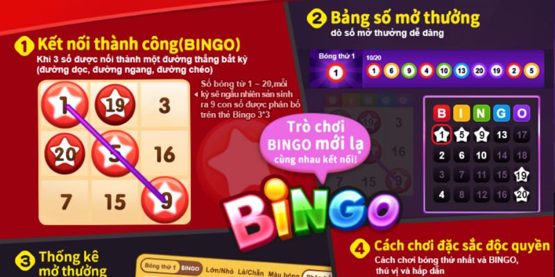 Có 2 loại hình cá cược chính khi chơi Bingo 