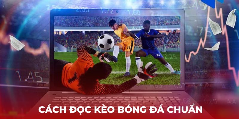 Cách đọc kèo bóng đá chuẩn